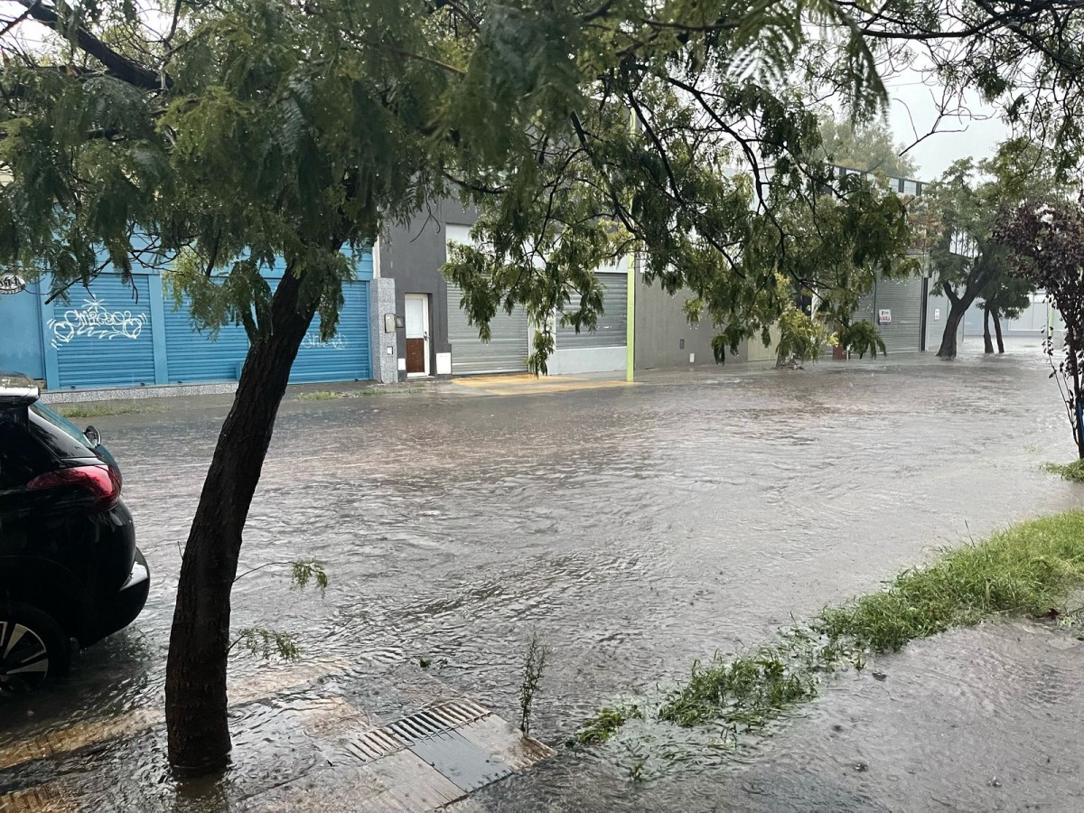 Последствия наводнения в Кордове Последствия наводнения в Кордове