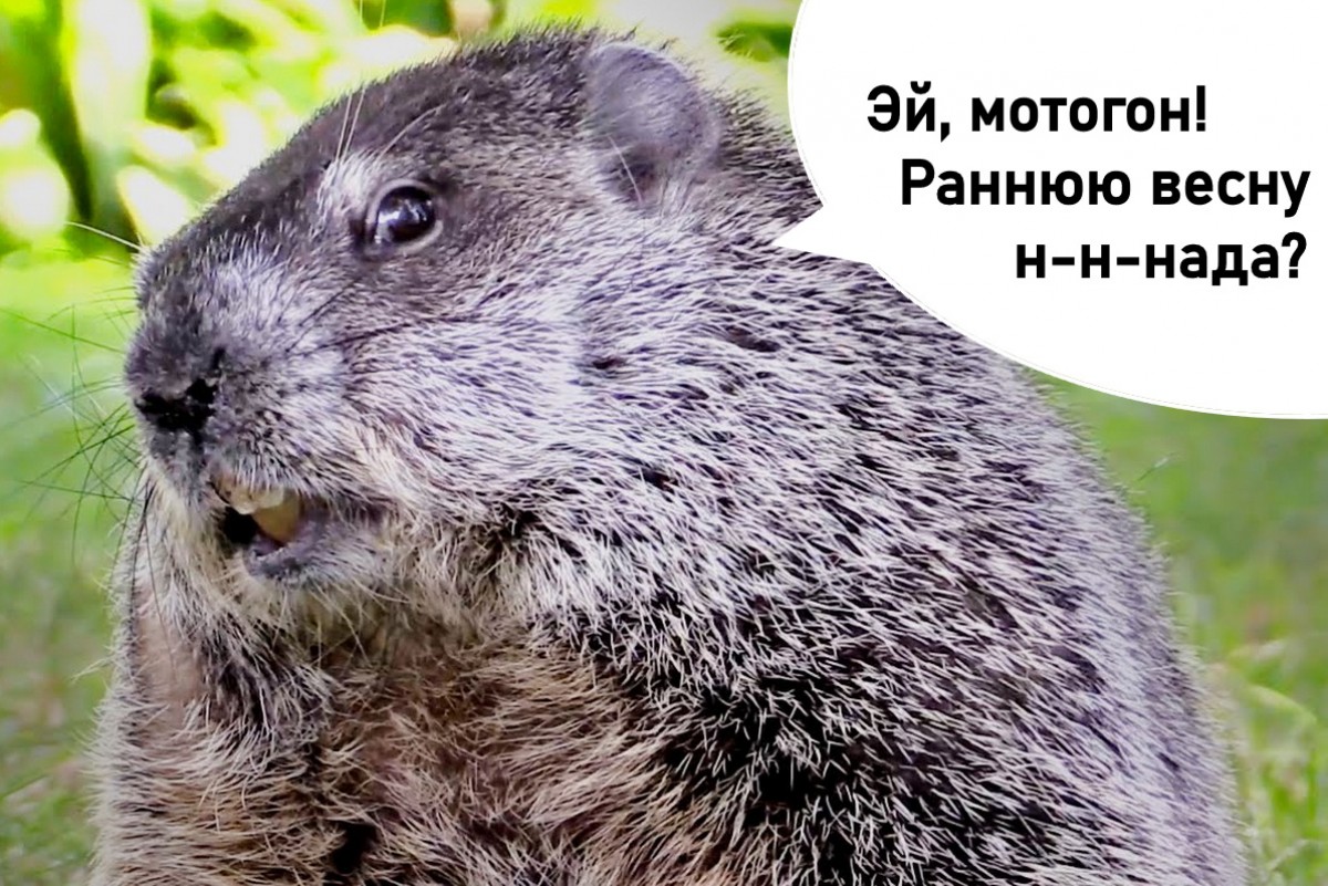 Вчера светило яркое солнышко дул слабый