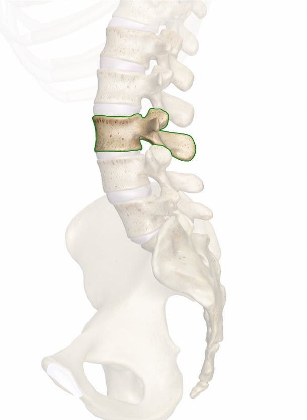 У Алеша Эспаргаро был диагностировал перелом позвонка L3