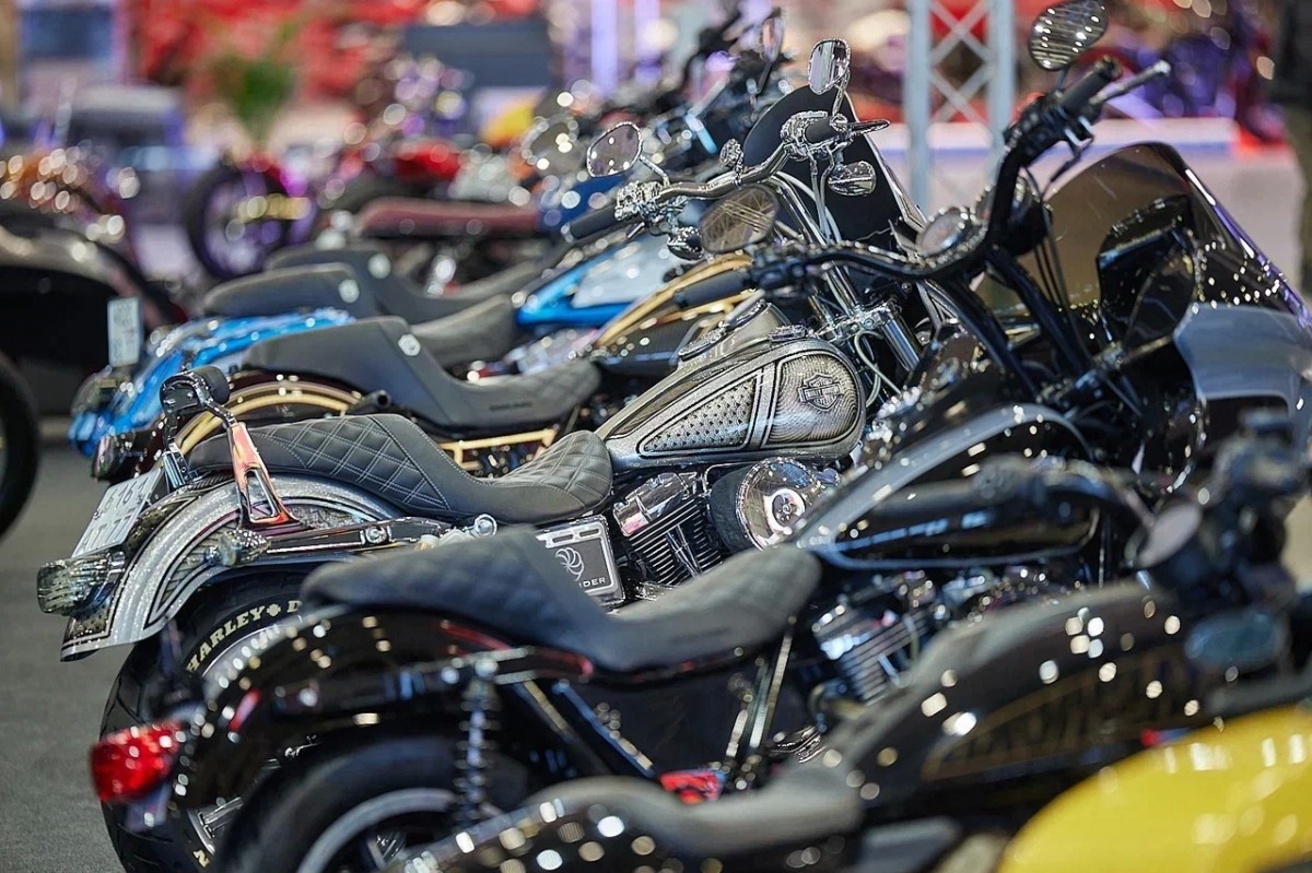 Кастом-шоу на Мотовесне