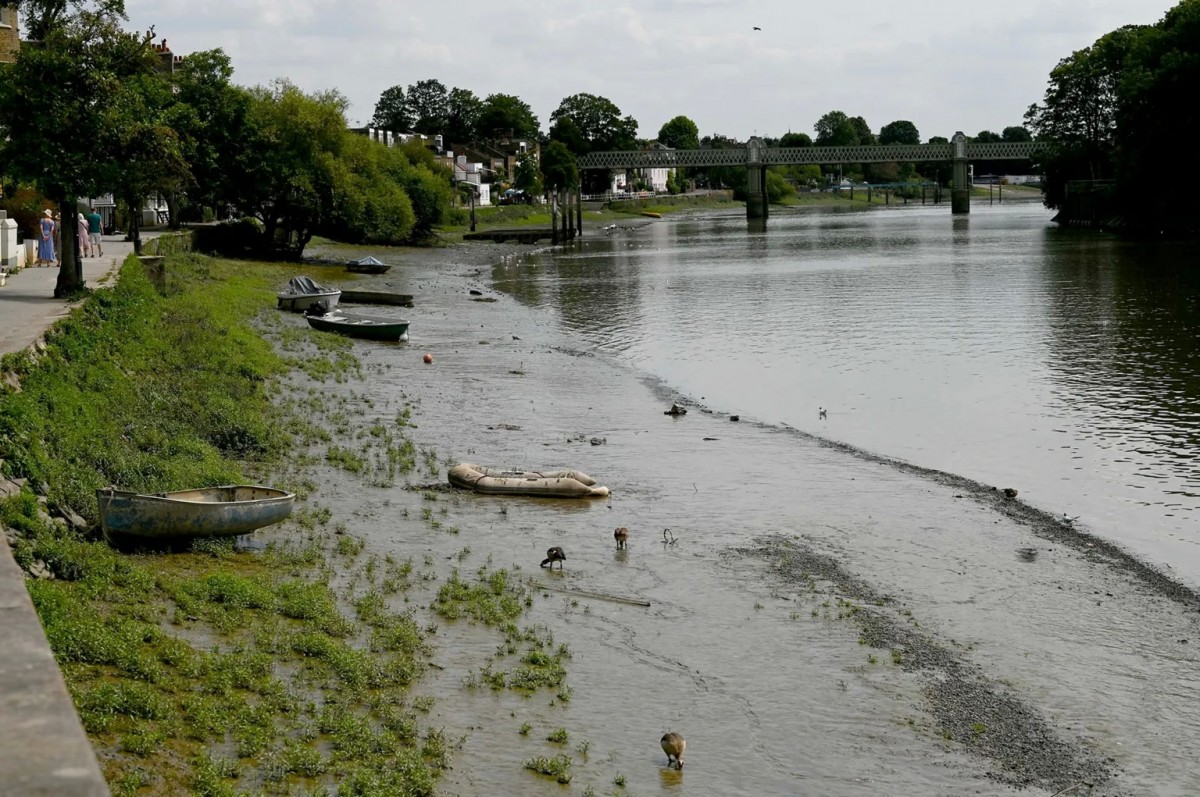 Стремительно падает уровень воды в реках на юге Англии