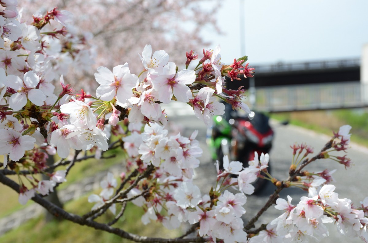 мотоциклизм мотоциклизм