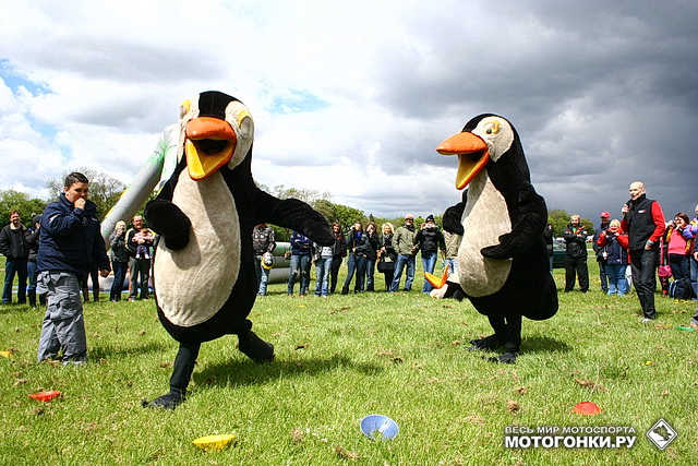 Пингвиньи Бои в преддверии этапа WSBK в Донингтоне