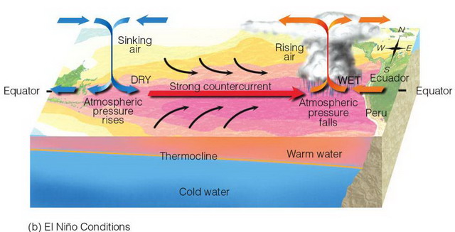 Схема действия El Nino в Тихом океане