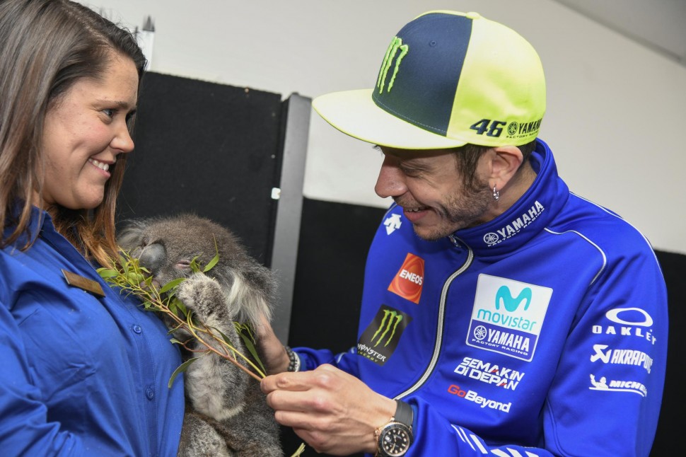 Валентино Росси кормит коалу