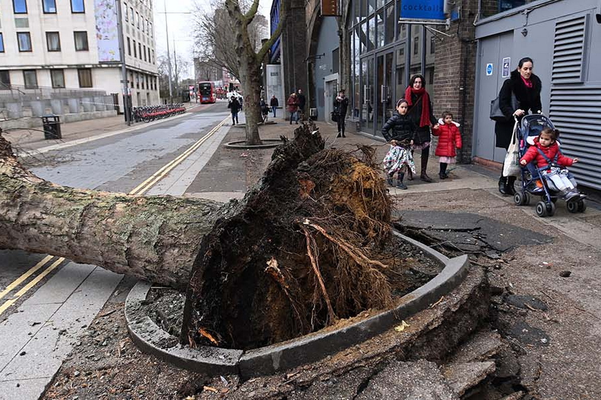 В Лондоне насчитали более сотни поваленных деревьев