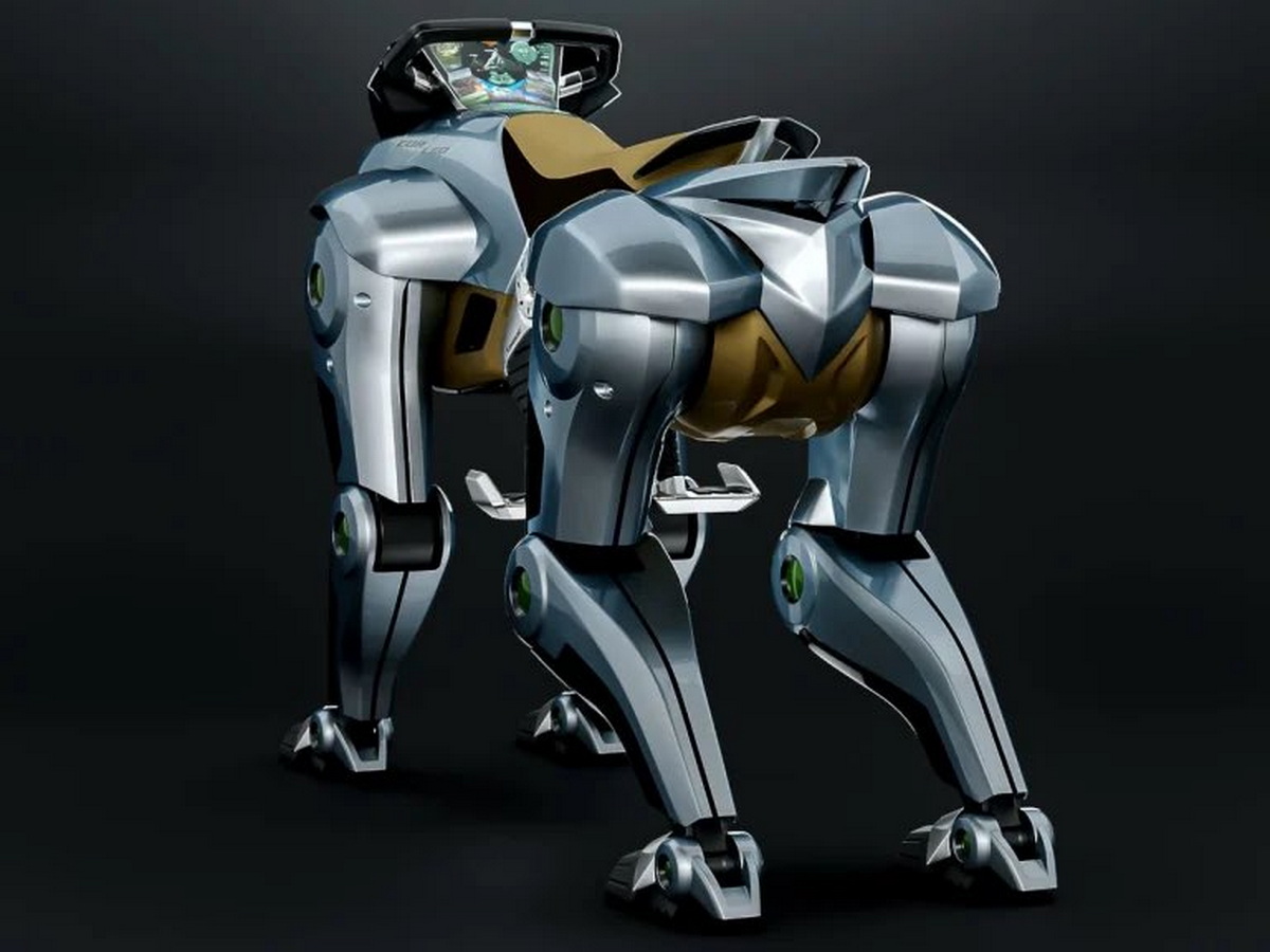 Kawasaki CORLEO
