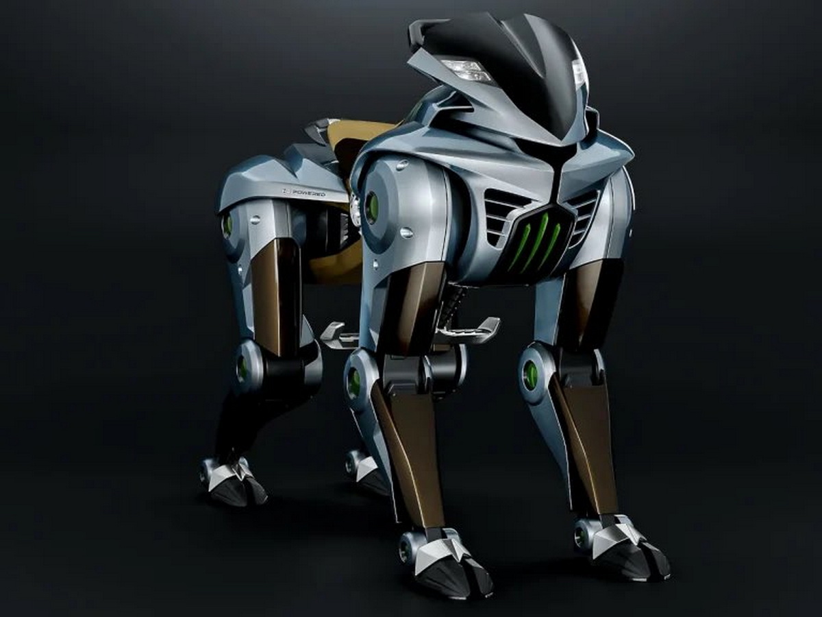 Kawasaki CORLEO
