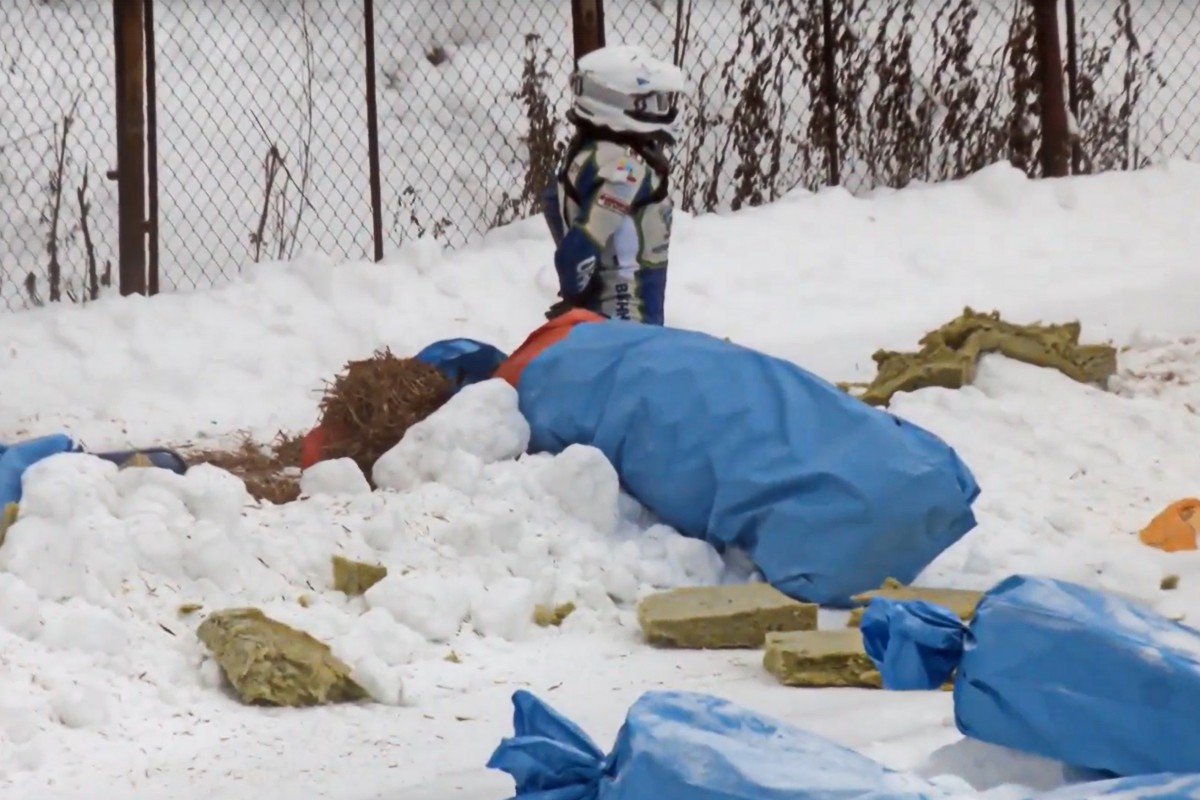 Дмитрий Солянников