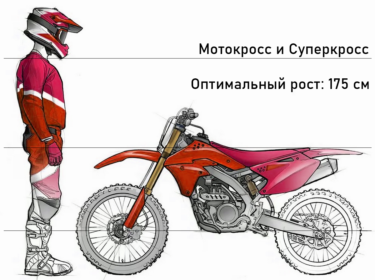 Оптимальный рост для мотокросса и суперкросса - 175 см