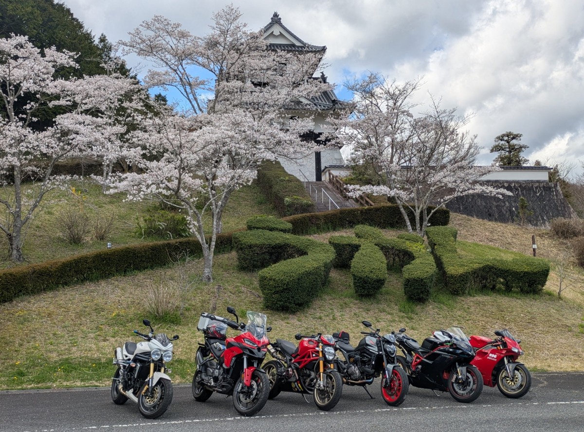 Тур-де-Сакура: паломничество тысяч мотоциклистов на праздник цветения сакуры - ханами