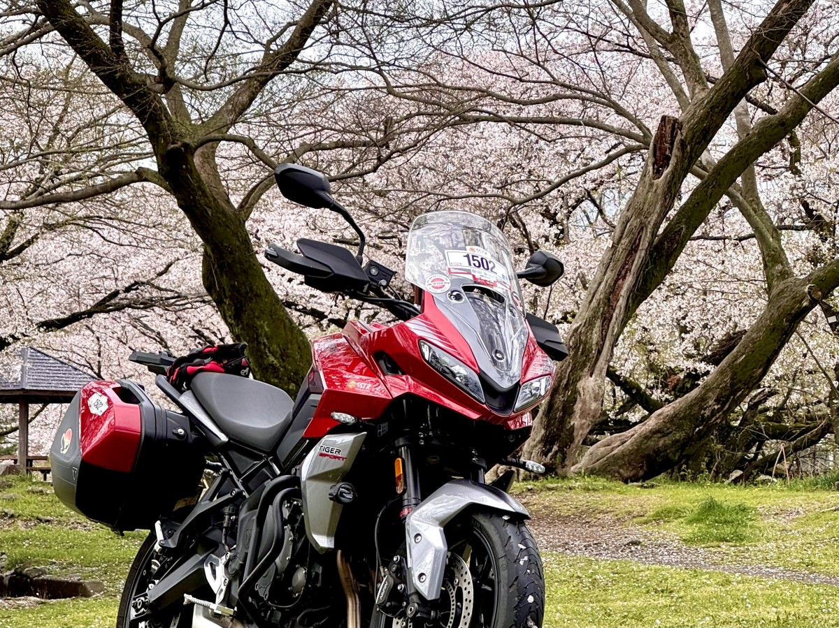 Тур-де-Сакура: паломничество тысяч мотоциклистов на праздник цветения сакуры - ханами