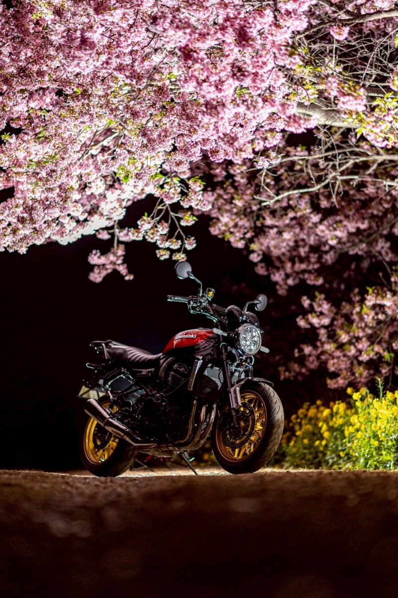 Тур-де-Сакура: паломничество тысяч мотоциклистов на праздник цветения сакуры - ханами