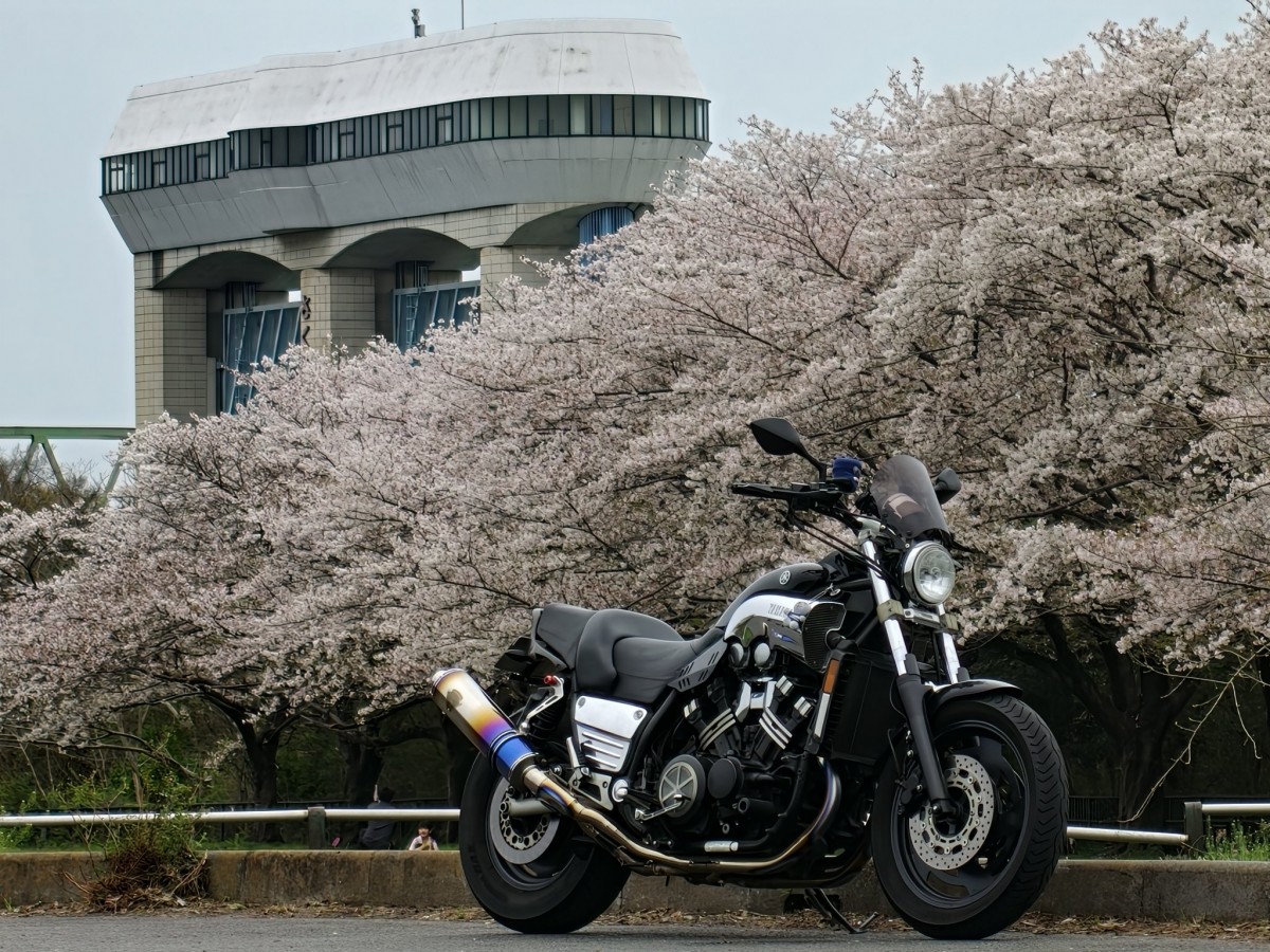 Тур-де-Сакура: паломничество тысяч мотоциклистов на праздник цветения сакуры - ханами