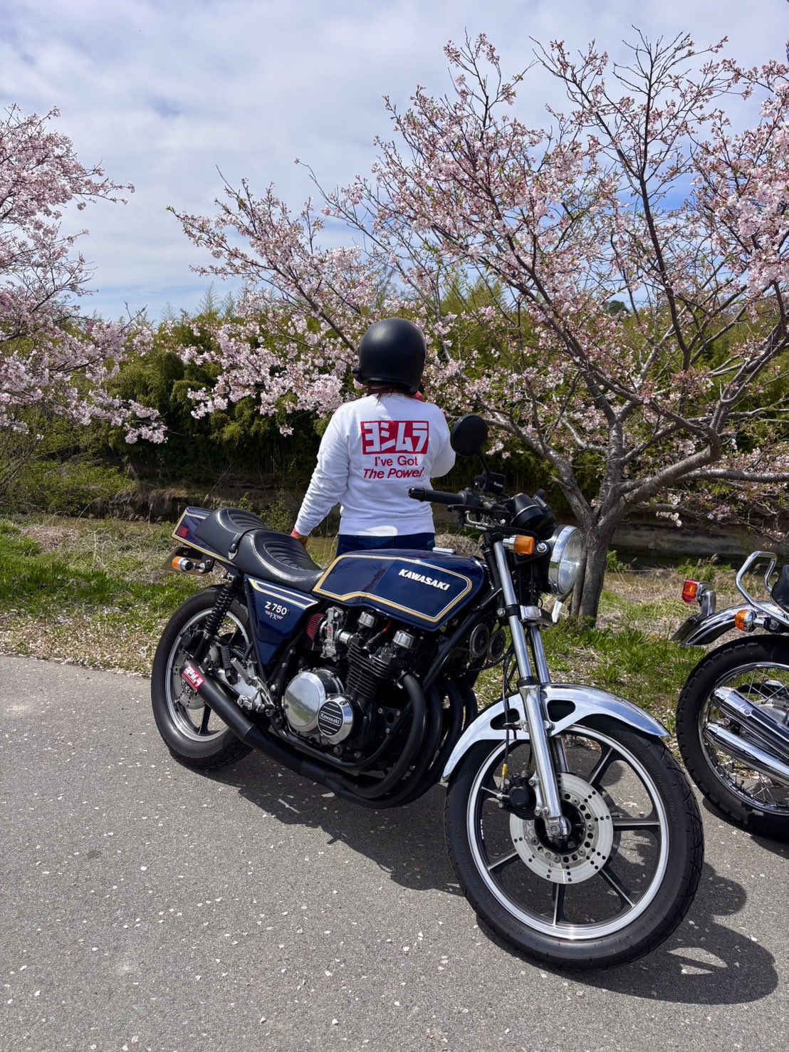 Тур-де-Сакура: паломничество тысяч мотоциклистов на праздник цветения сакуры - ханами
