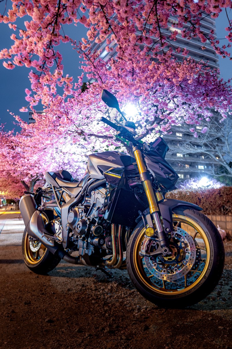 Тур-де-Сакура: паломничество тысяч мотоциклистов на праздник цветения сакуры - ханами