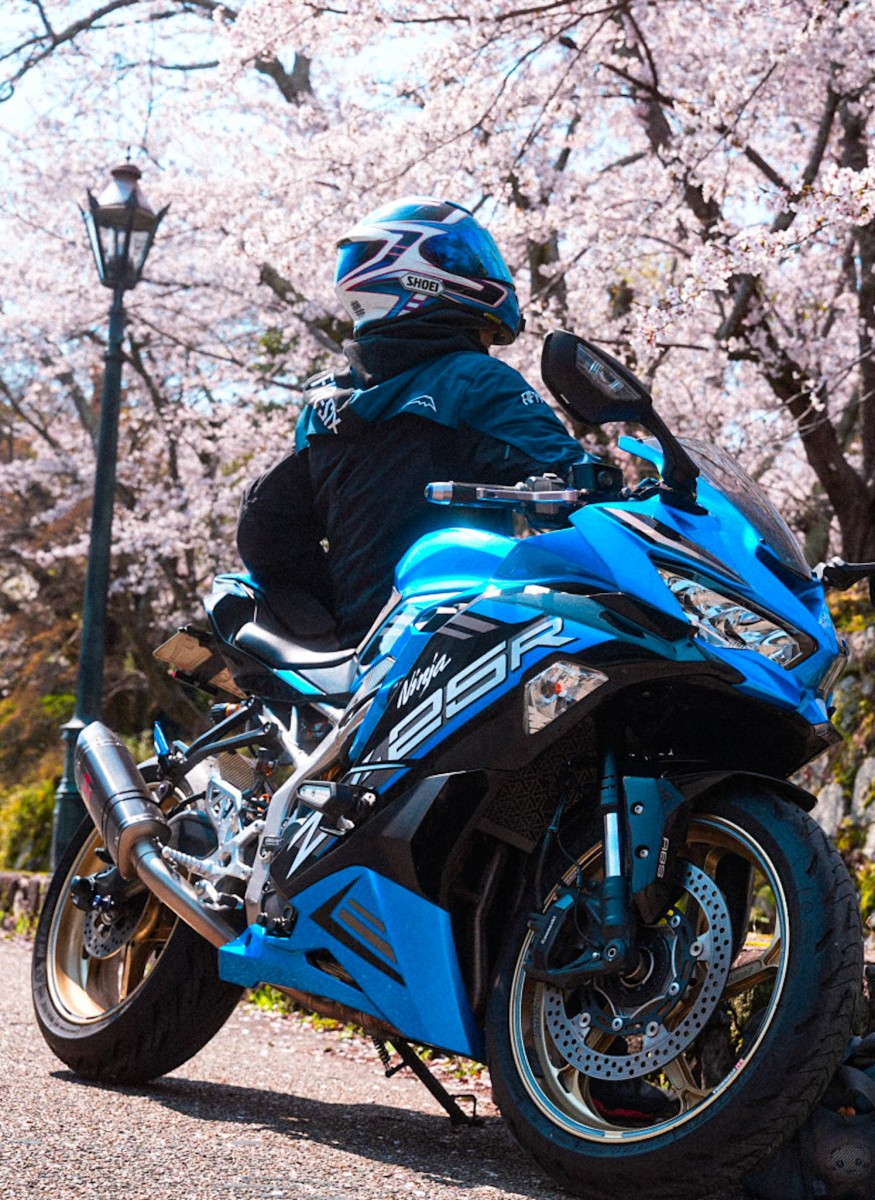 Цветение сакуры в Японии