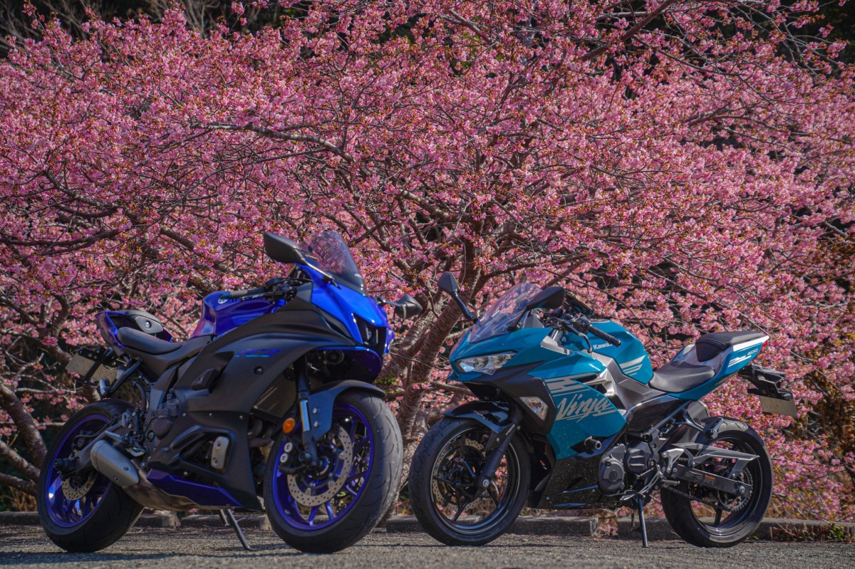 Тур-де-Сакура: поломничество тысяч мотоциклистов на праздник цветения сакуры - ханами