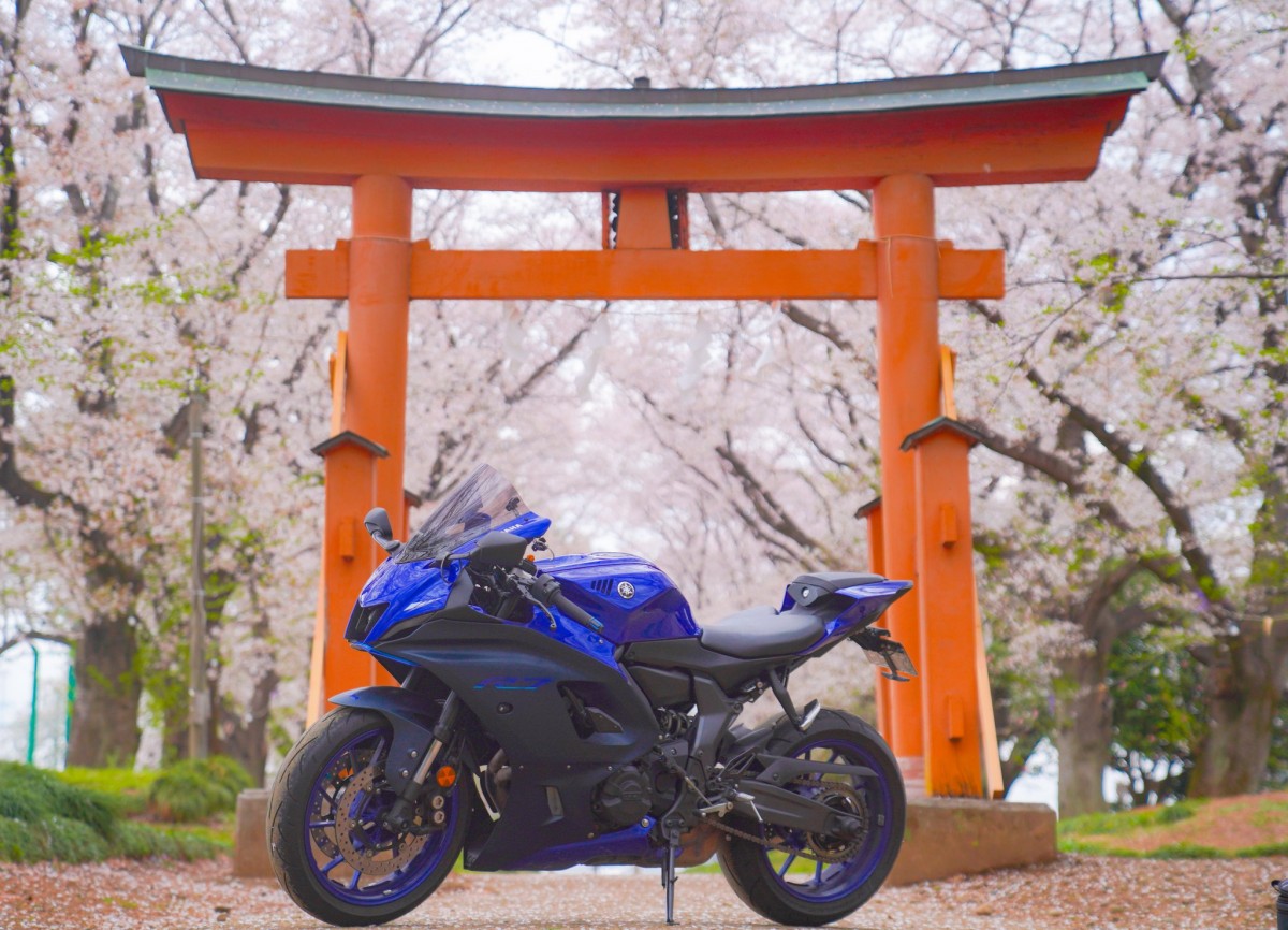 Тур-де-Сакура: поломничество тысяч мотоциклистов на праздник цветения сакуры - ханами